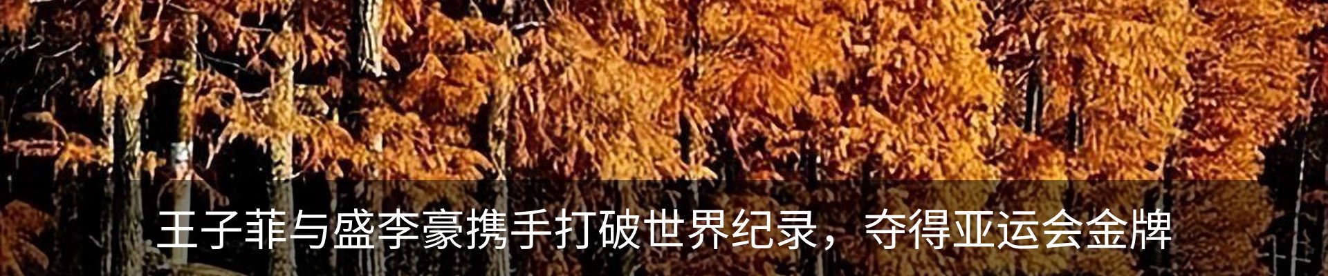 新闻中心